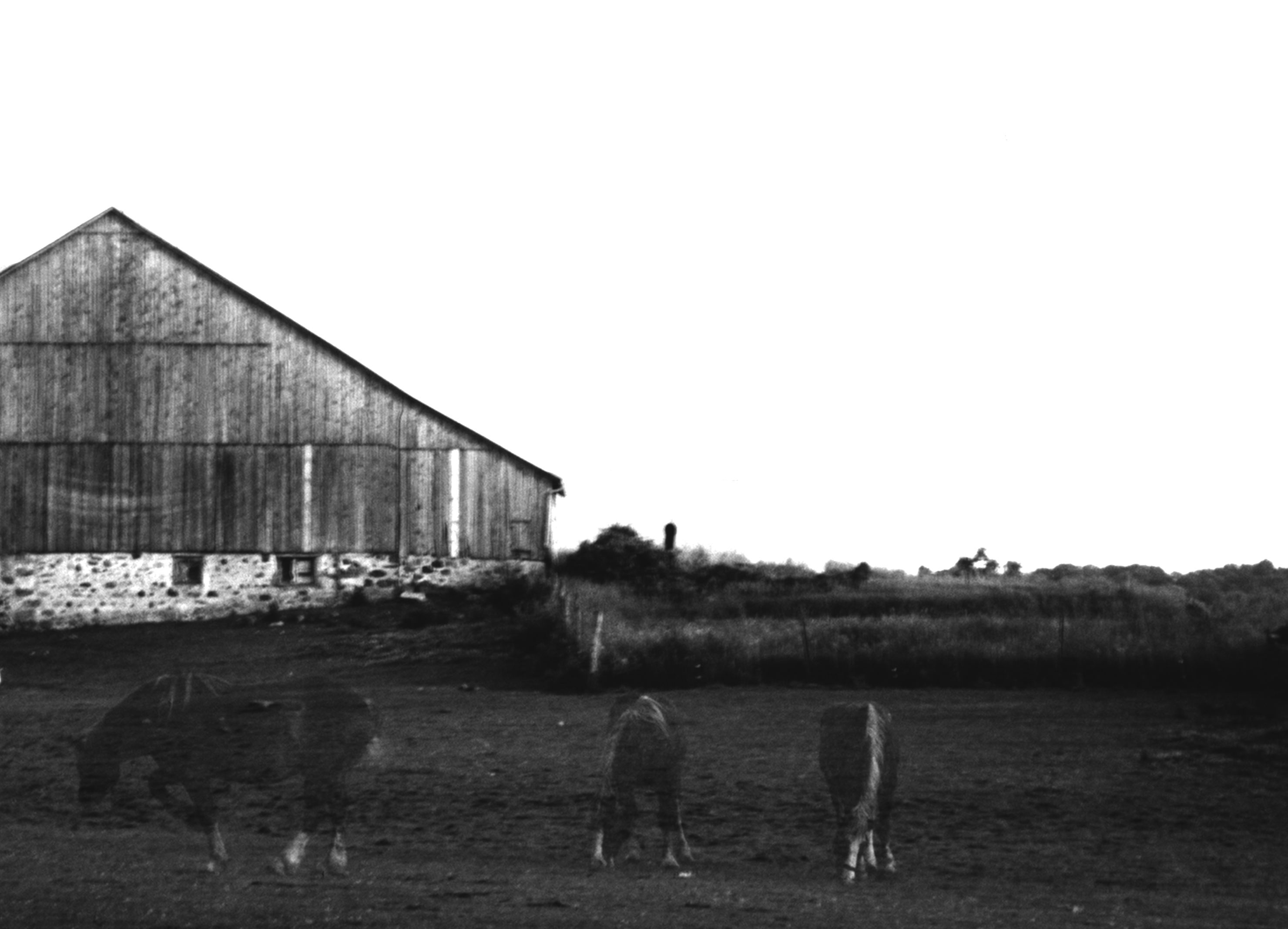 Into the Wild — still